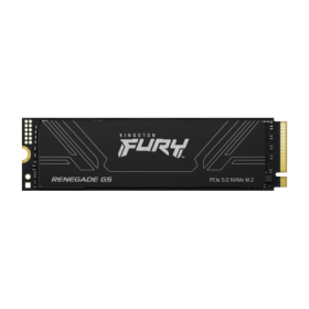 SSD Kingston 1T FURY RENEGADE G5 M.2 2280 NVMe SSD - hikvision-roma...